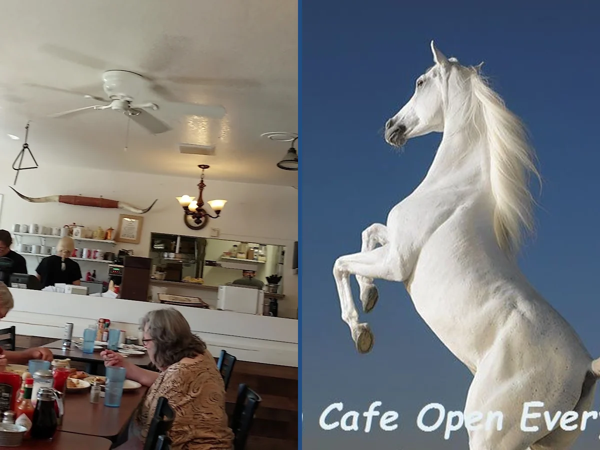 Casual diner dining room with table service